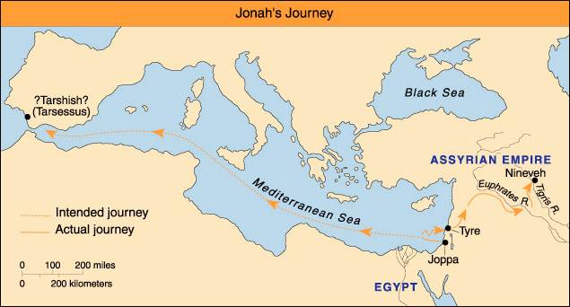 A map of the world

Description automatically generated